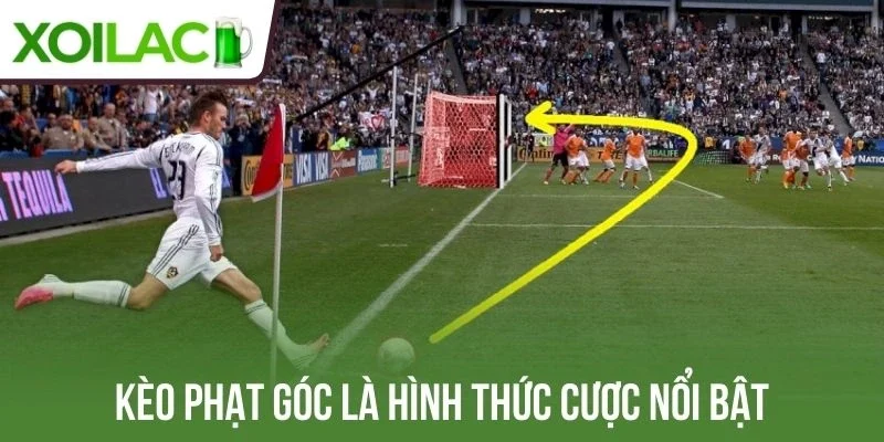 Kèo phạt góc nổi bật