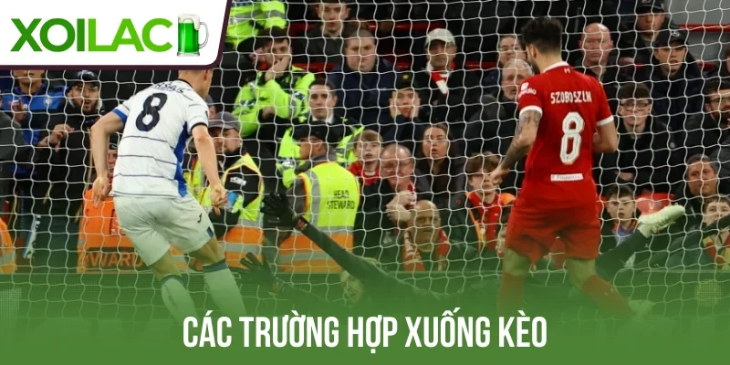 Các trường hợp xuống kèo