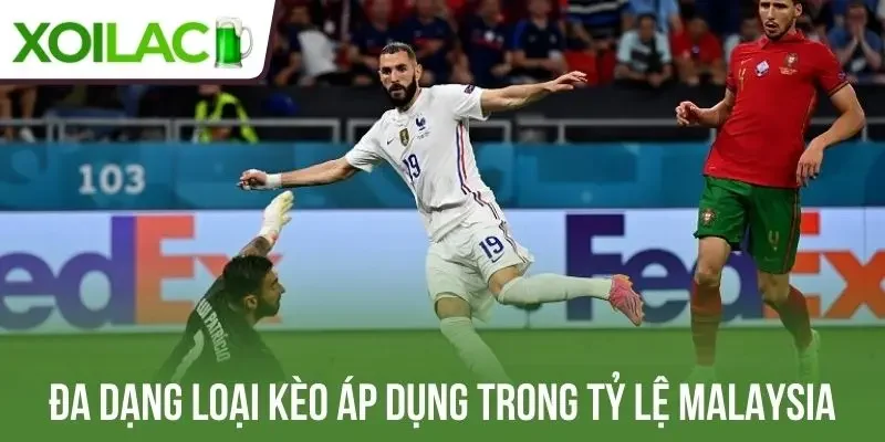 Đa dạng loại kèo áp dụng trong tỷ lệ Malaysia