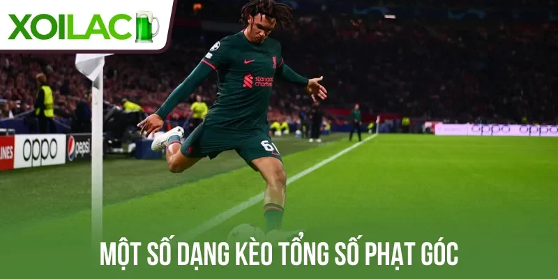 Một số dạng kèo tổng số phạt góc